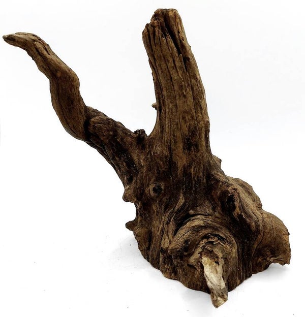 Corbo Root (LD 19), ca. 18 x 17 x 15 cm