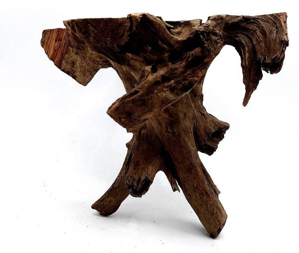 Corbo Root (HC 3), ca. 16 x 18 x 16 cm