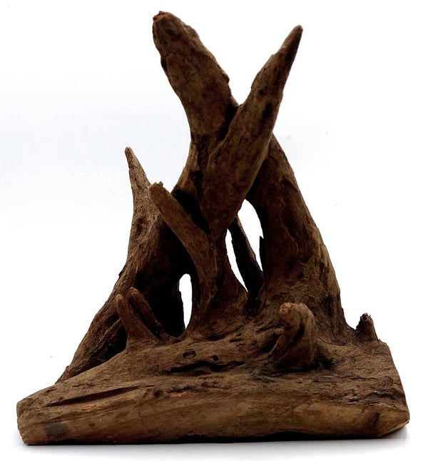 Corbo Root (HC 5), ca. 15 x 15 x 8 cm