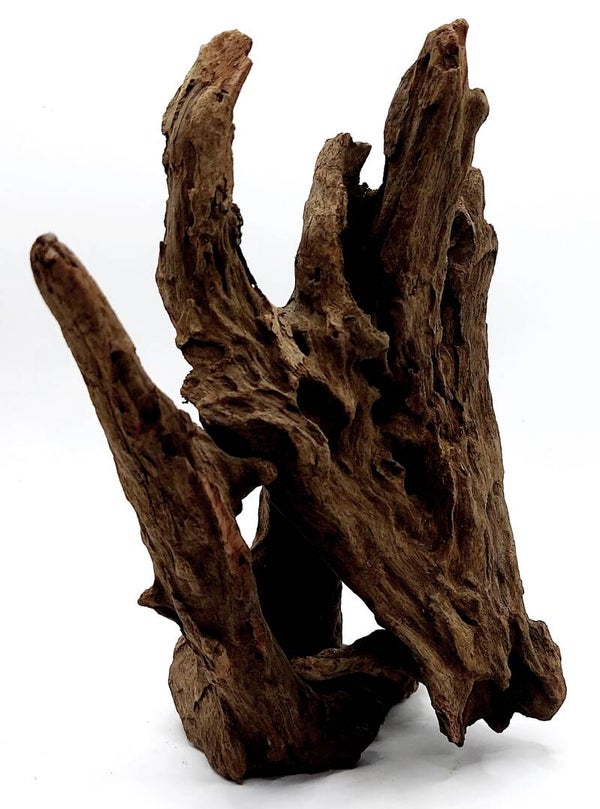 Corbo Root (HC 7), ca. 20 x 15 x 12 cm
