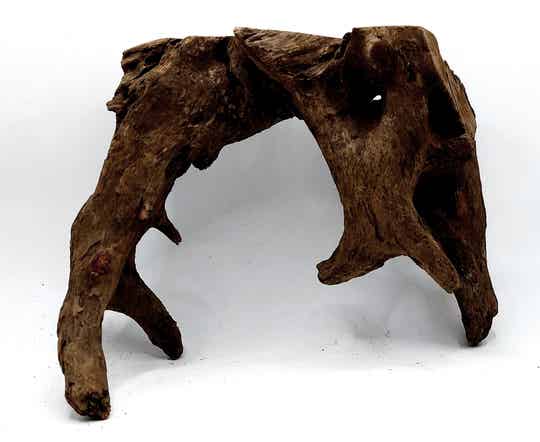 Corbo Root (HC 16), ca. 17 x 24 x 12 cm