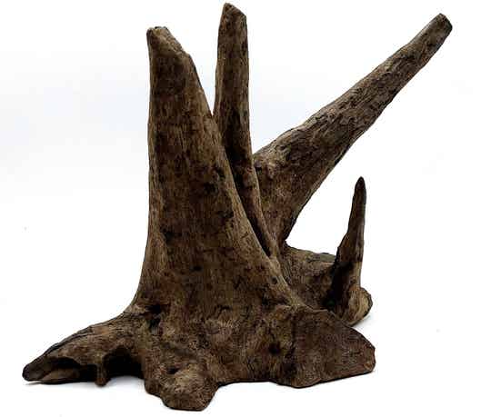 Corbo Root (HC 17), ca. 15 x 23 x 15 cm