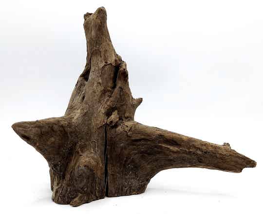 Corbo Root (HC 18), ca. 17 x 21 x 7 cm