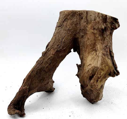 Corbo Root (HC 19), ca. 17,5 x 18 x 12 cm