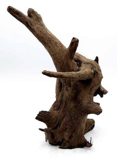 Corbo Root (HC 22), ca. 21 x 16 x 13 cm