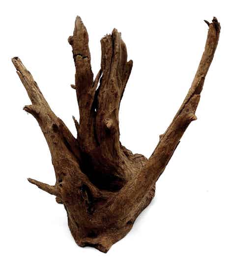 Corbo Root (HC 24), ca. 18 x 18 x 13 cm