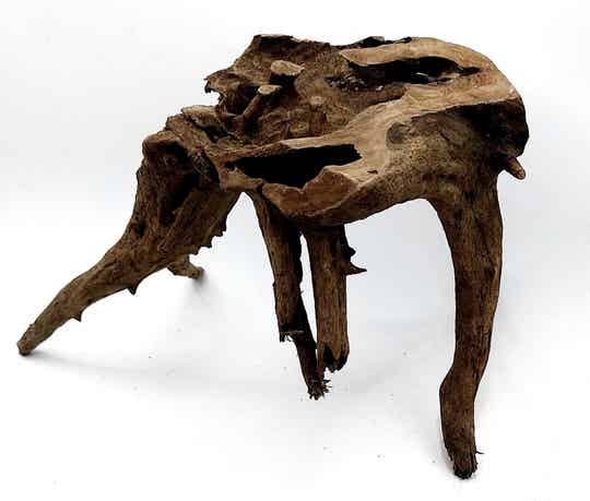 Corbo Root (HC 32), ca. 20 x 17 x 16