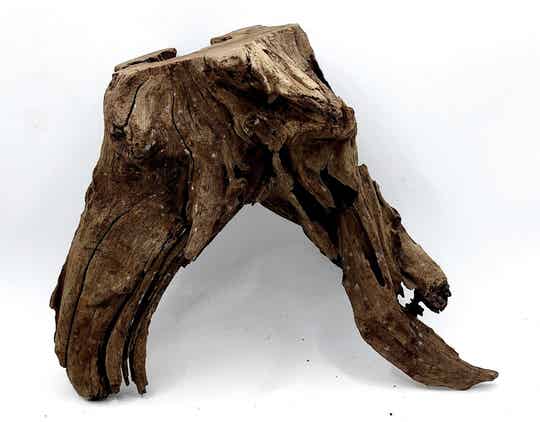 Corbo Root (HC 34), ca. 19 x 24 x 11 cm