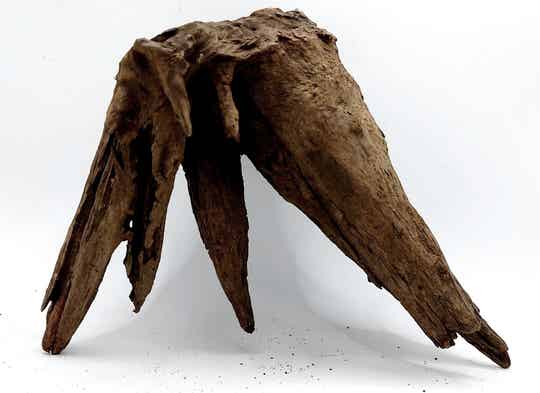 Corbo Root (HC 35), ca. 18 x 17 x 10 cm