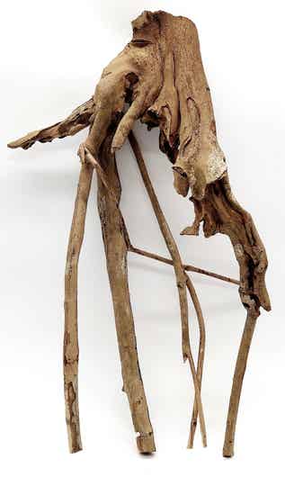 Talawa (TNA 4), ca. 55 x 36 x 20 cm