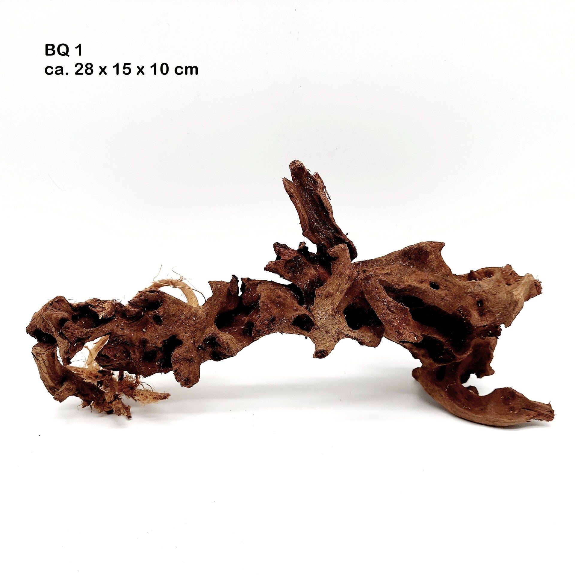 Bloodwood / Korallenholz - mit Auswahl (BQ)