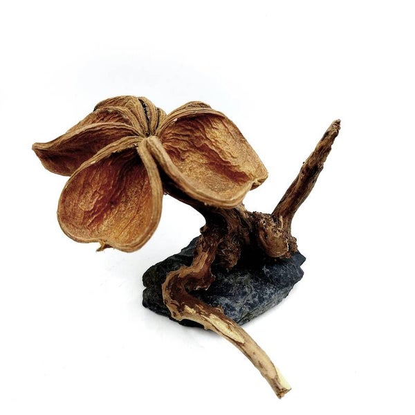 Blütenbäumchen (NN 3), ca. 11 x 17 x 13 cm