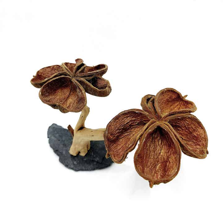 Blütenbäumchen (NN 8), ca. 10,5 x 15 x 10 cm