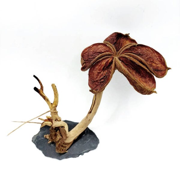 Blütenbäumchen (NN 9), ca. 13 x 18 x 13 cm