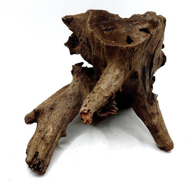 Corbo Root (VZ 4), ca. 13 x 14 x 12 cm