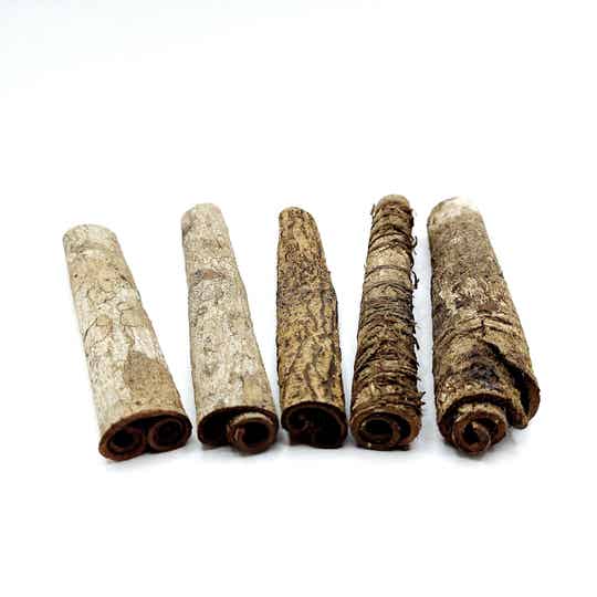 Seemandelbaum Rinde, Rolle 13 - 15 cm - mit Auswahl