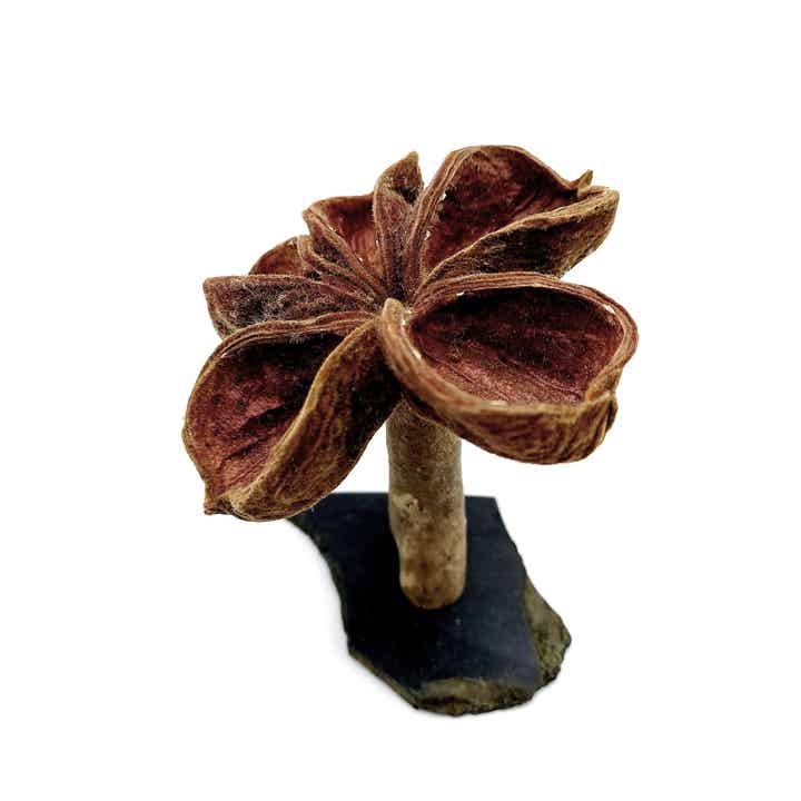 Blütenbäumchen (ZL 5), ca. 8,5 x 8,5 x 9 cm