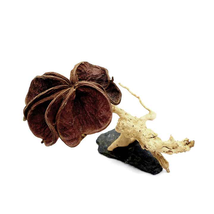 Blütenbäumchen (ZL 9), ca. 15 x 18 x 17 cm