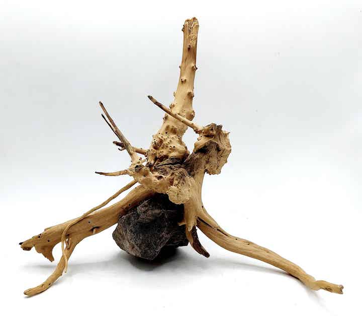 Moorwurzel auf Lavastein (WS 2), ca. 19 x 23 x 15 cm