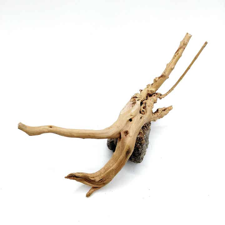 Moorwurzel auf Lavastein (WS 4), ca. 8 x 16 x 8 cm