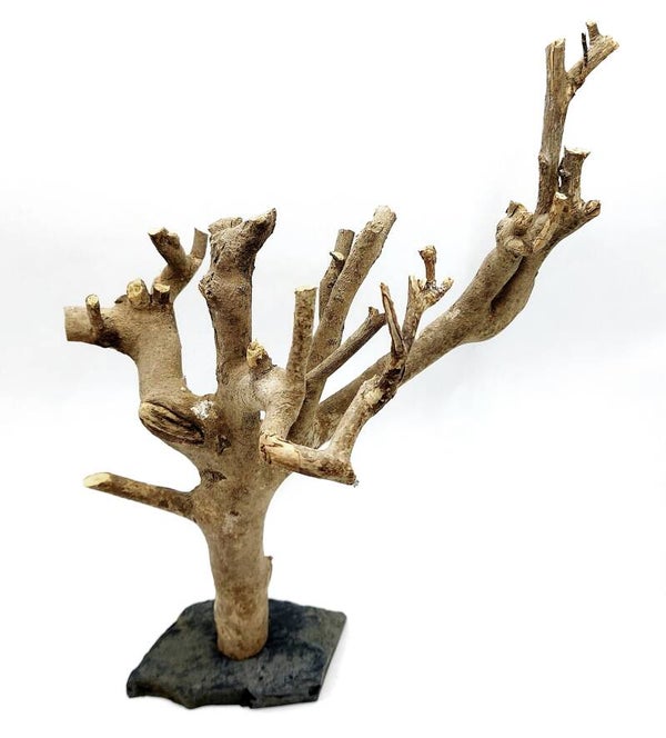 Tea Branch auf Schiefer (BT 1)