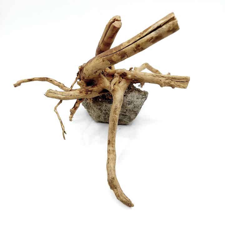 Moorwurzel auf Lavastein (RON 3), ca. 13,5 x 19 x 20 cm