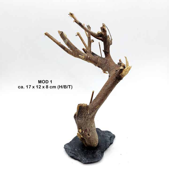 Holz zum Bepflanzen auf Schiefer (MOD)- mit Auswahl