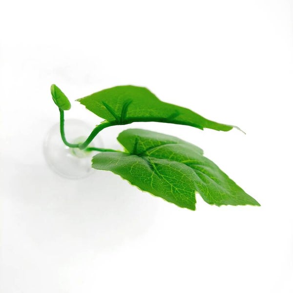Betta Blatt grün