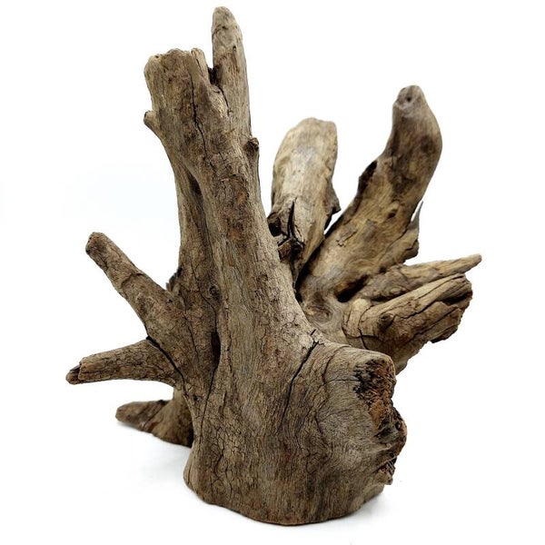 Corbo Root (MK 2), ca. 15 x 14 x 13 cm