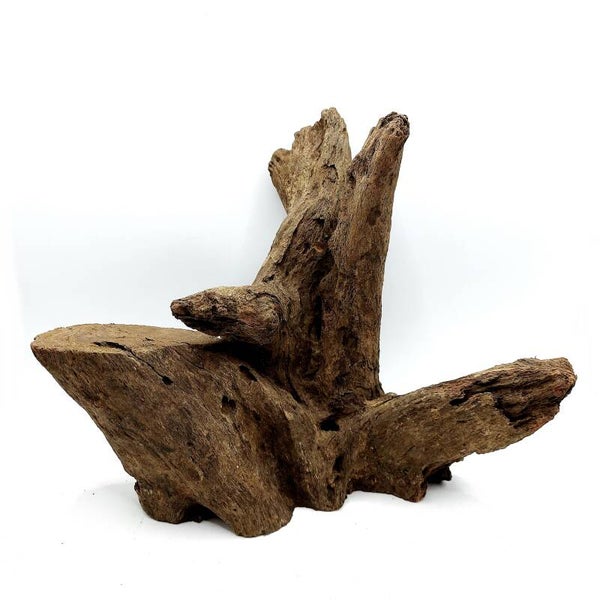 Corbo Root (MK 4), ca. 19 x 21 x 16 cm