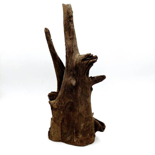 Corbo Root (MK 8), ca. 21 x 10 x 8 cm