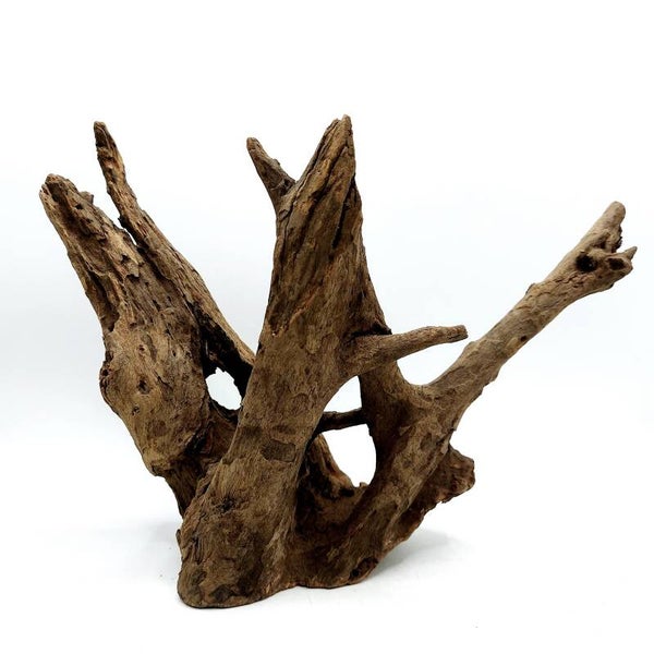 Corbo Root (MK 10). ca. 17 x 23 x 10 cm
