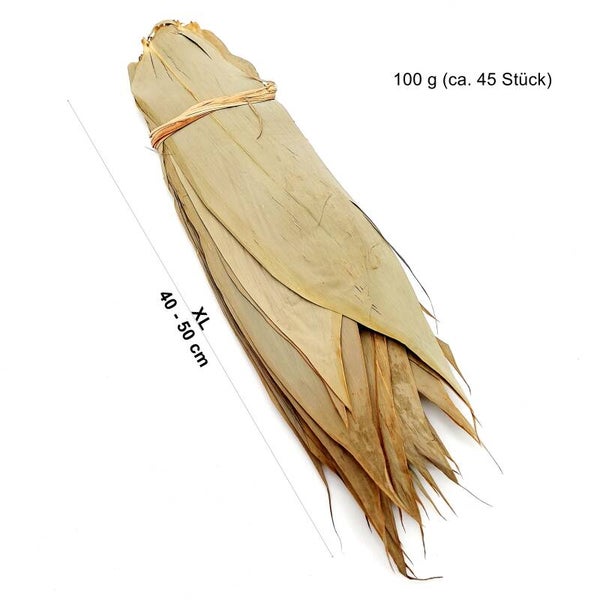 Angebot: Bambusblätter - XL (bis 50 cm) - 100 g