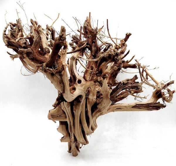 Etosha Tree (ETE 1), ca. 28 x 20 x 17 cm