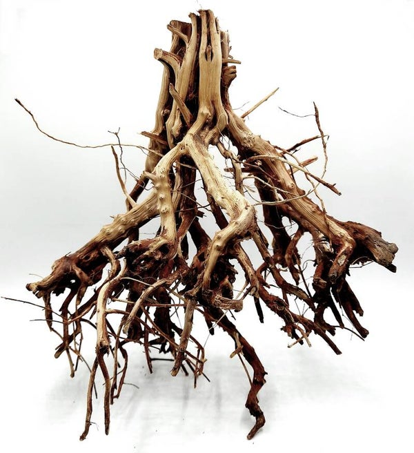 Etosha Tree (ETE 2), ca. 24 x 21 x 17 cm