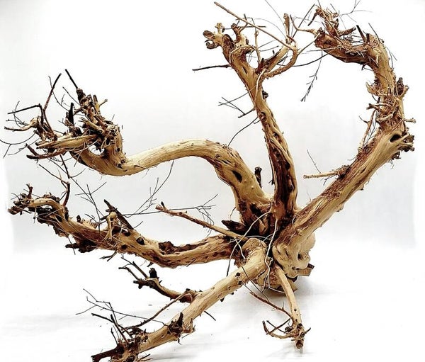 Etosha Tree (ETE 4), ca. 29 x 29 x 24 cm