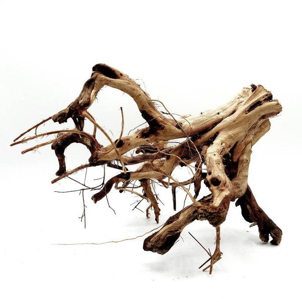 Etosha Tree (ETE 6), ca. 17 x 15 x 10 cm
