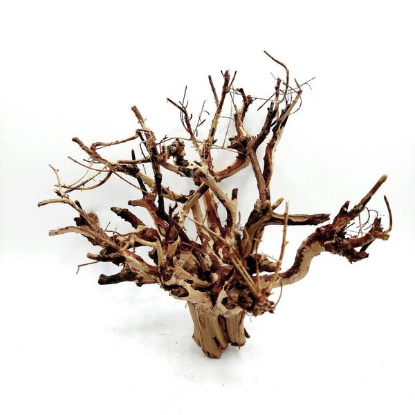 Etosha Tree (ETE 8), ca. 21 x 16 x 16 cm