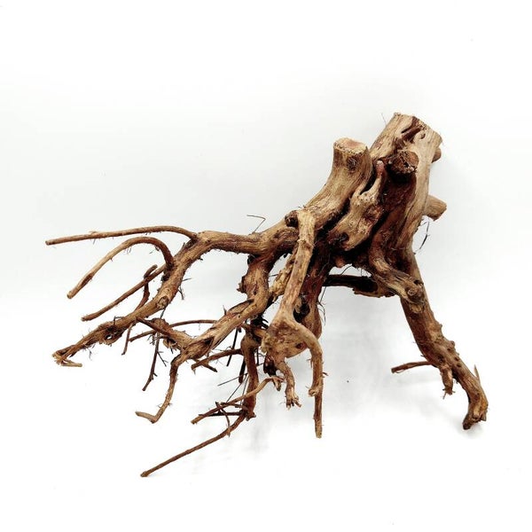 Etosha Tree (ETE 10), ca. 18 x 18 x 9 cm