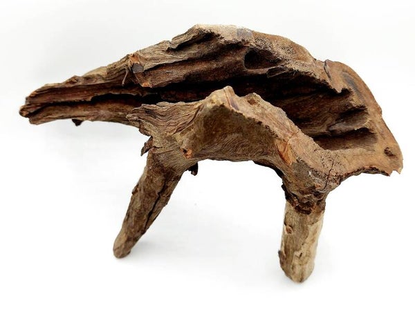 Corbo Root (COB 1), ca. 20 x 15 x 13 cm