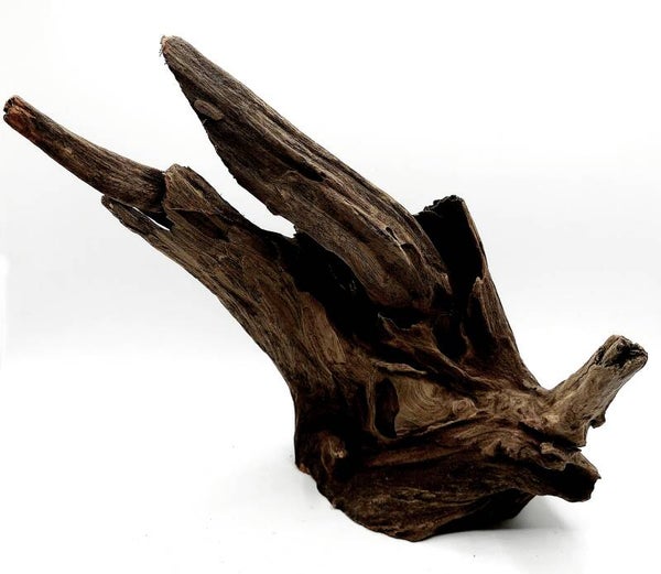 Corbo Root (COB 6), ca. 20 x 19 x 10 cm