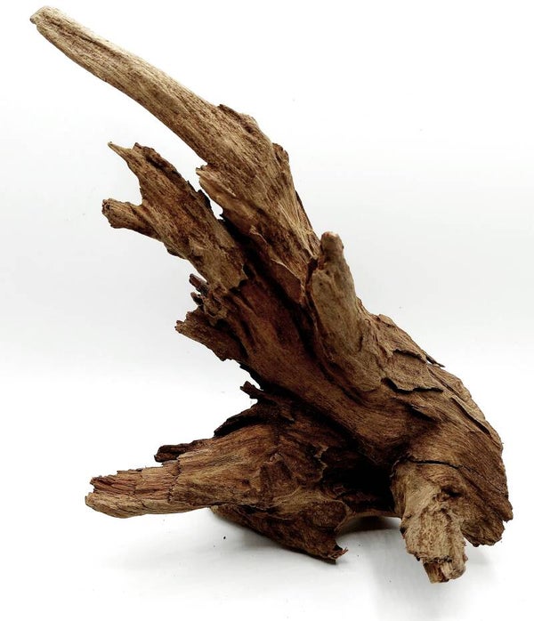 Corbo Root (COB 9), ca. 19 x 14 x 6 cm