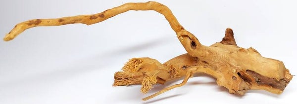 AX 21, ca. 24 x 10 x 8 cm