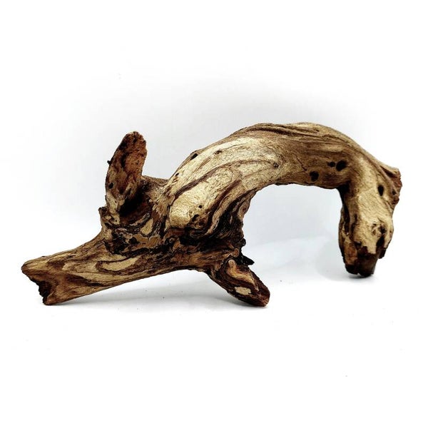 Mopani Wurzel (MVD 21), ca. 22 x 10 x 6 cm