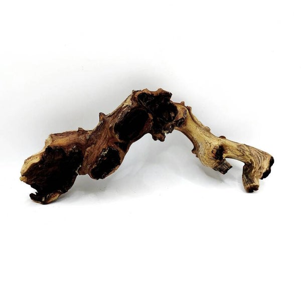 Mopani Wurzel (MVD 22), ca. 25 x 11 x 5 cm