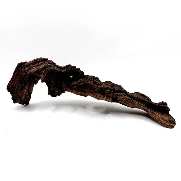 Mopani Wurzel (MVD 25), ca. 21 x 7 x 6 cm