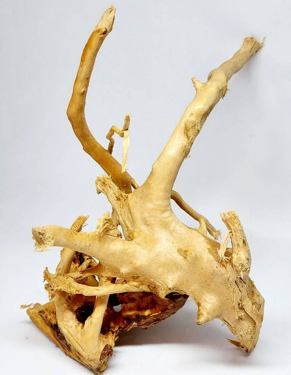 AX 25, ca. 20 x 15 x 14 cm