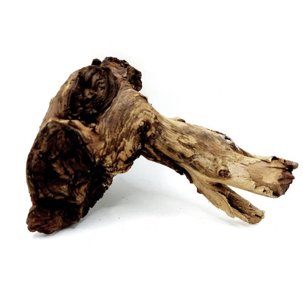 Mopani Wurzel (MVD 26), ca. 14 x 11 x 8 cm