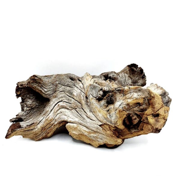 Mopani Wurzel (MVD 27), ca. 14 x 8 x 6 cm