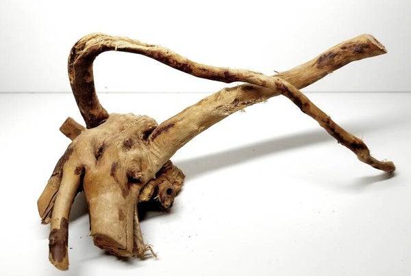 SMS 27, ca. 21 x 13 x 10 cm